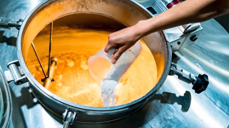 brouwproces amsterdam