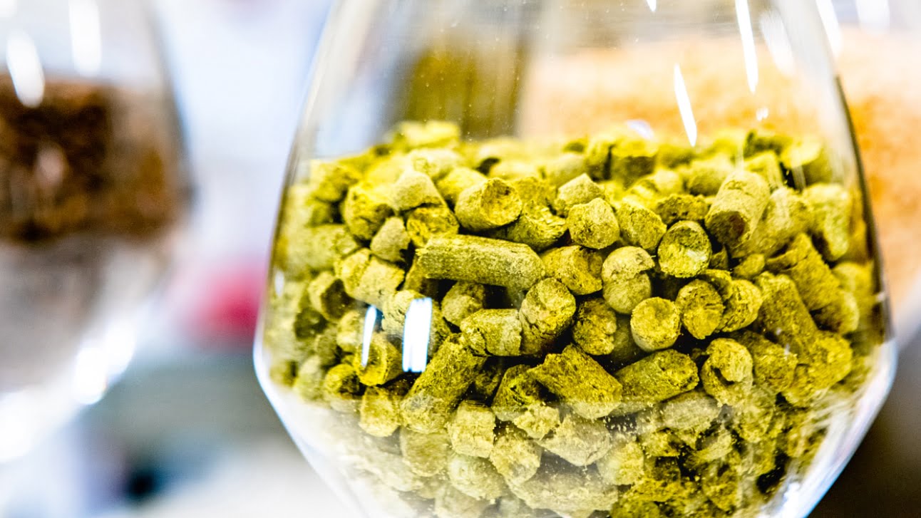 Gajes Goud Dutch Beer Challenge 2024